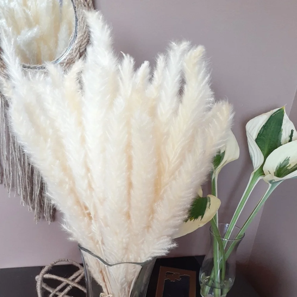 Dry Flowers !!80 Stems pampa grass valentine Gift !Home Decor …